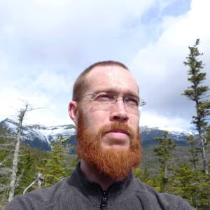 The Ginger Beard Man